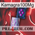 Kamagra100Mg 37